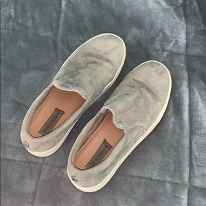 Steve Madden suede platform sneakers